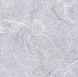 Human Resources Software Engineer Irving TX