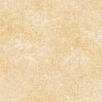 Apartment Locator Application Development McKinney Texas