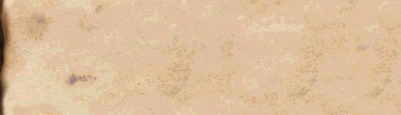 Landscaping Estimate System Development Allen Texas